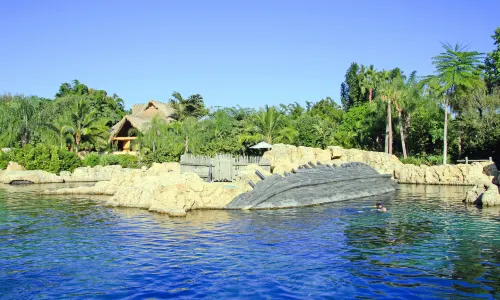 Discovery Cove