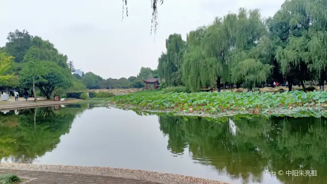 1_Guiyuan Garden