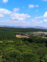 Sultançiftliği Taşlıtepe State Forest