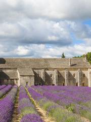 Abbaye Notre-Dame de Senanque