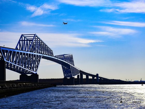 Tokyo Gate Bridge