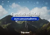 5 ที่เดินป่าเชียงใหม่ วิวสวยสุดประทับใจ ทะเลหมอกอลังการ 