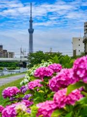 Kyunaka River