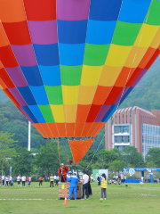 생태 디자인 타운