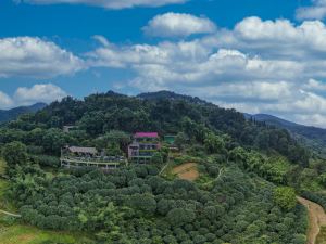 Taole Forest Hostel