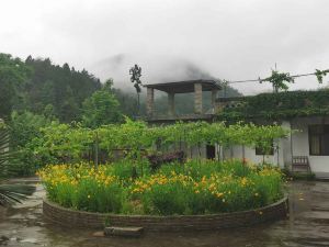 Mount-frog viewing Villa