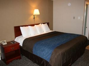 Bangor Inn & Suites