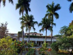 Mango Tree Courtyard Dehradun