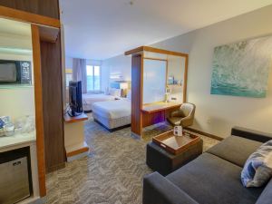 SpringHill Suites Macon