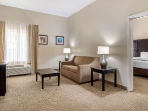 Comfort Inn & Suites Atlanta-Smyrna