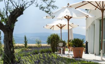 Domaine de Saint Clair Spa & Golf