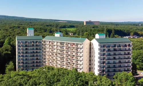 Hotel Epinard Nasu