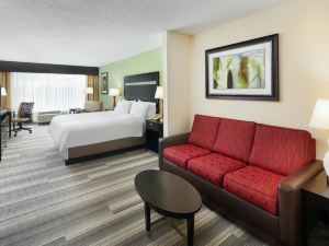 Holiday Inn Express & Suites I-26 & US 29 at Westgate Mall