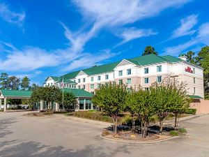 Hilton Garden Inn Houston/The Woodlands