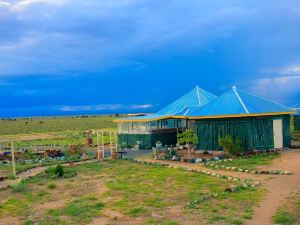 Amanya 2-Rooms Lioness Family