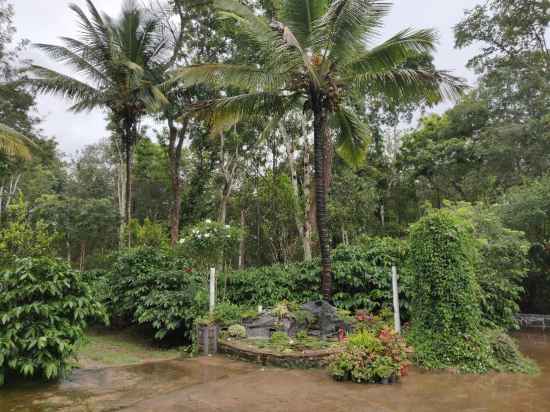 Coorg Dale | Rooms & Restaurant Hotel Exterior