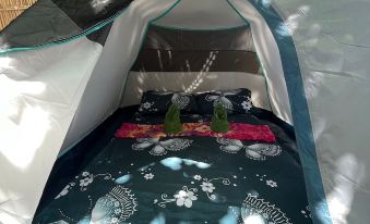 Room in Holiday Park - Camp on the Beach - Double Tent 3