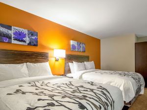 Sleep Inn Geismar - Gonzales