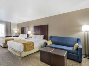 Comfort Inn & Suites Mitchell I-90