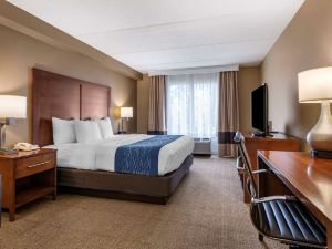 Comfort Inn & Suites Orlando North