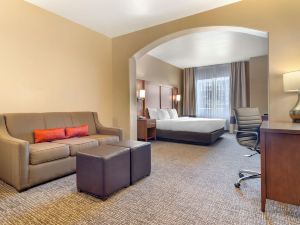 Comfort Inn at Convention Center Saint George