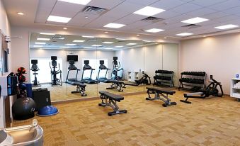 Holiday Inn Express & Suites Houston IAH - Beltway 8