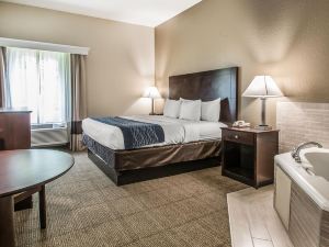 Comfort Inn & Suites DeLand - Near University