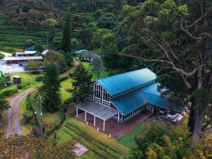 Hotel Finca Lerida Coffee Plantation and Boutique Hotel