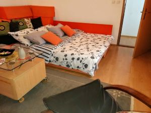 Beautiful Apartment in Center Sarajevo