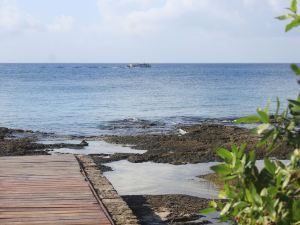 Casa de 3 Recamaras Frente Al Mar de Cozumel