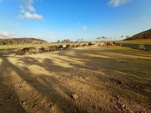 Lombok Barrel Homestay