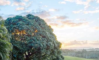 Cape Byron Retreat (Adults-Only)