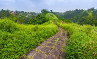 Beji Ubud Resort