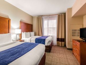 Comfort Inn & Suites IAH Bush Airport - East