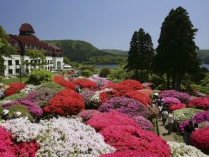 Odakyu Hotel de Yama