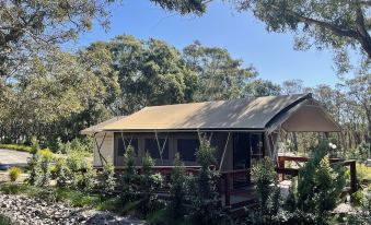 Port Stephens Koala Sanctuary