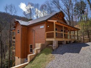 Hawkeye Ridge 3 Bedroom Cabin by RedAwning