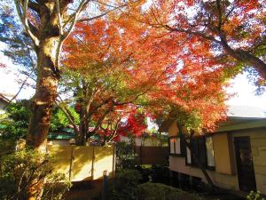 Hotel Ichinokan