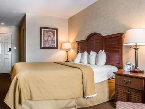 Quality Inn Pittsburgh Airport