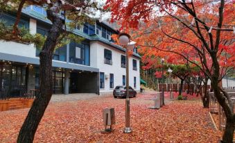 Wonju Sogeumsan Village Pension