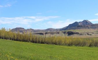 Skammidalur Guesthouse