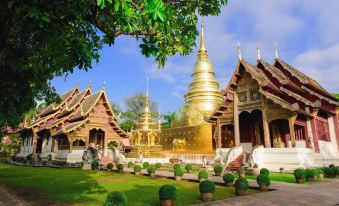 The Room Mahidol Chiangmai