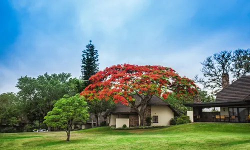 薩比河太陽度假村