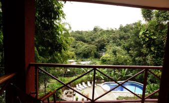 Eco-Condo Serviced Apartments in Quepos w Pool Wildlife Visits