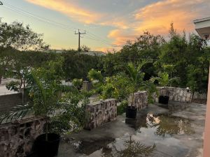 Island Turquoise Rental