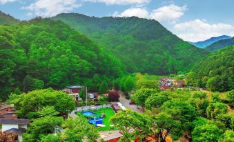 Saeyeon Glamping & Caravan Pocheon