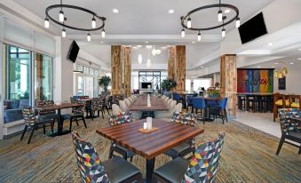 Hilton Garden Inn Houston/Galleria Area