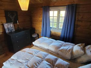 The Whole Beautiful Cabin With Jacuzzi – A Luxurious Getaway in Solberglia