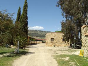 Set of Rural Houses in the Center of Andalusia