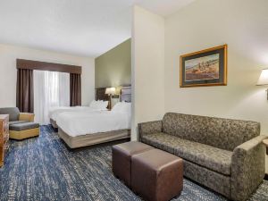 Comfort Inn & Suites Mt Rushmore